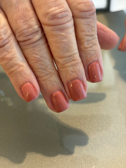 Gel Polish Elsie